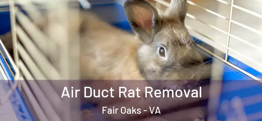  Air Duct Rat Removal Fair Oaks - VA