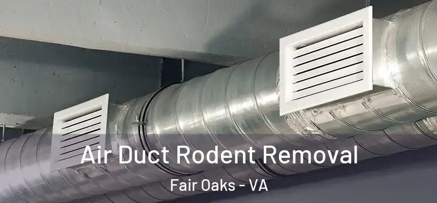 Air Duct Rodent Removal Fair Oaks - VA