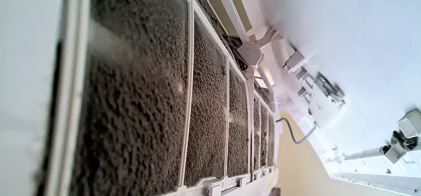 Preventive Air Duct Bacteria Removal in Fair Oaks