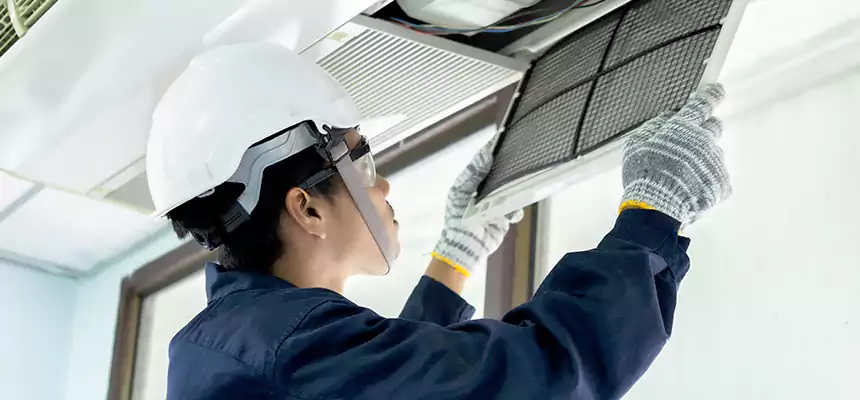 Our Mold & Mildew Removal from Air Ducts Services in Fair Oaks, VA