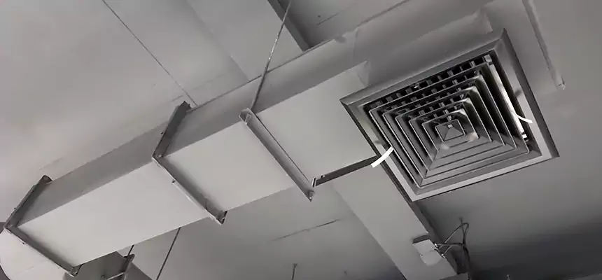 Our Pest Removal From Ducts Services in Fair Oaks, VA