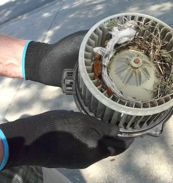 About Air Duct Rat Removal in Fair Oaks, VA