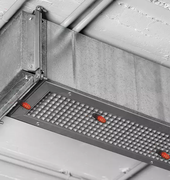 Affordable Insect Removal from Air Ducts in Fair Oaks, VA