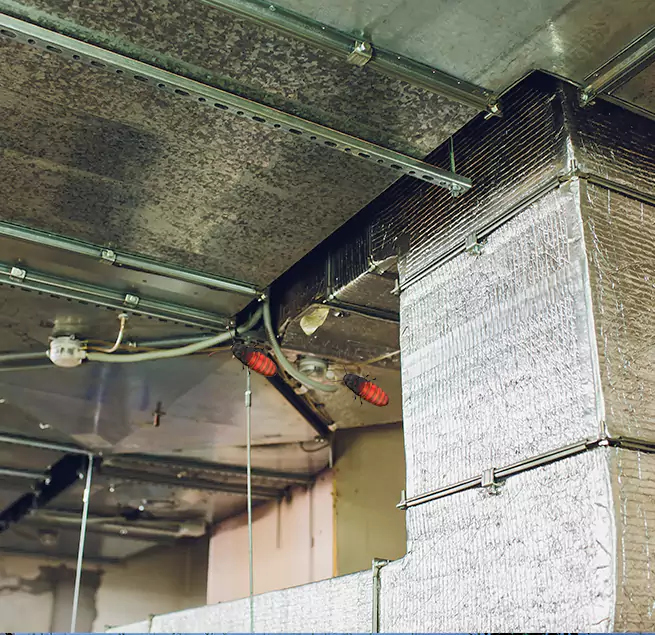 Why Homeowners & Businesses Trust Us in Fair Oaks, VA?