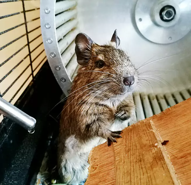 Why Homeowners & Businesses Trust Us Fair Oaks, VA